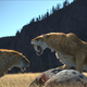 Illustration for article titled How evolution could bring back the sabercat